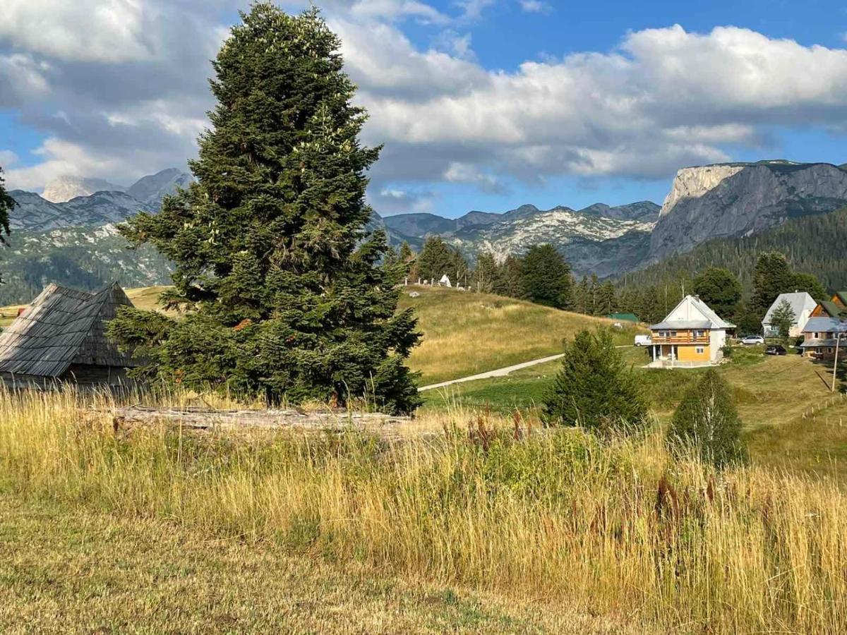 Apartman Bukovac Žabljak Esterno foto